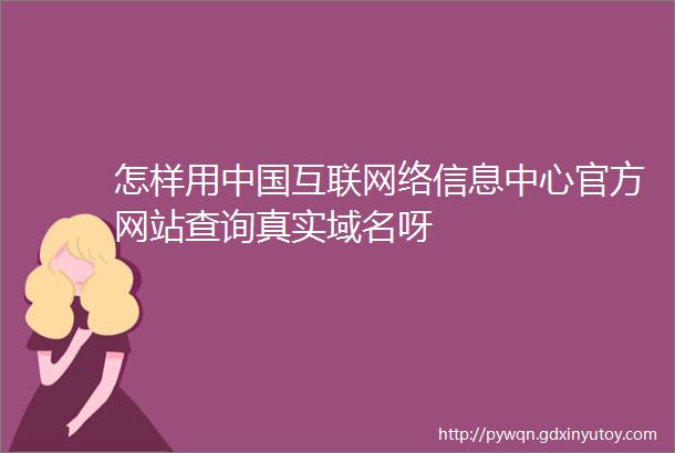 怎样用中国互联网络信息中心官方网站查询真实域名呀