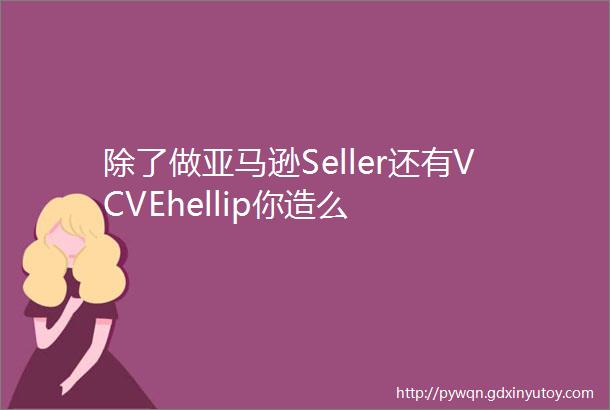 除了做亚马逊Seller还有VCVEhellip你造么