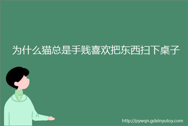 为什么猫总是手贱喜欢把东西扫下桌子