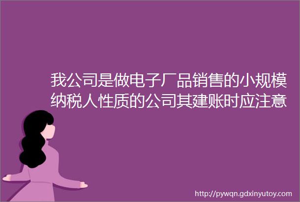 我公司是做电子厂品销售的小规模纳税人性质的公司其建账时应注意