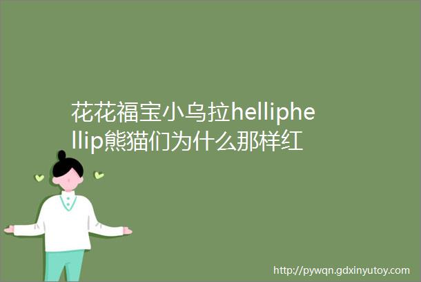 花花福宝小乌拉helliphellip熊猫们为什么那样红