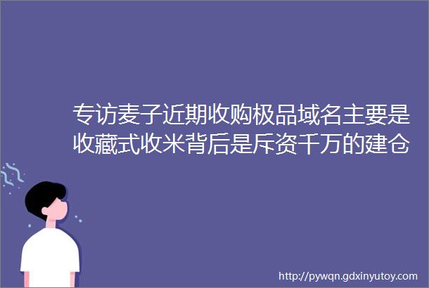 专访麦子近期收购极品域名主要是收藏式收米背后是斥资千万的建仓计划