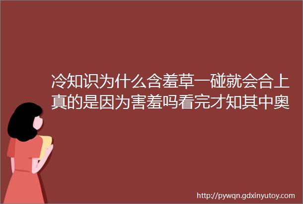 冷知识为什么含羞草一碰就会合上真的是因为害羞吗看完才知其中奥秘