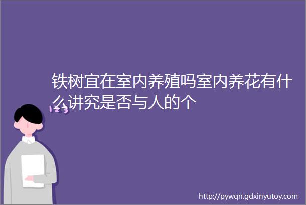 铁树宜在室内养殖吗室内养花有什么讲究是否与人的个