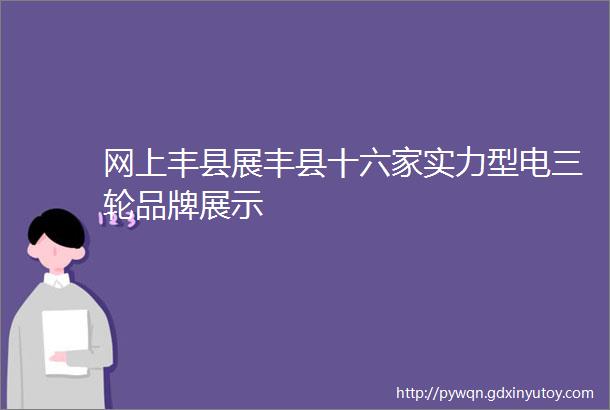网上丰县展丰县十六家实力型电三轮品牌展示